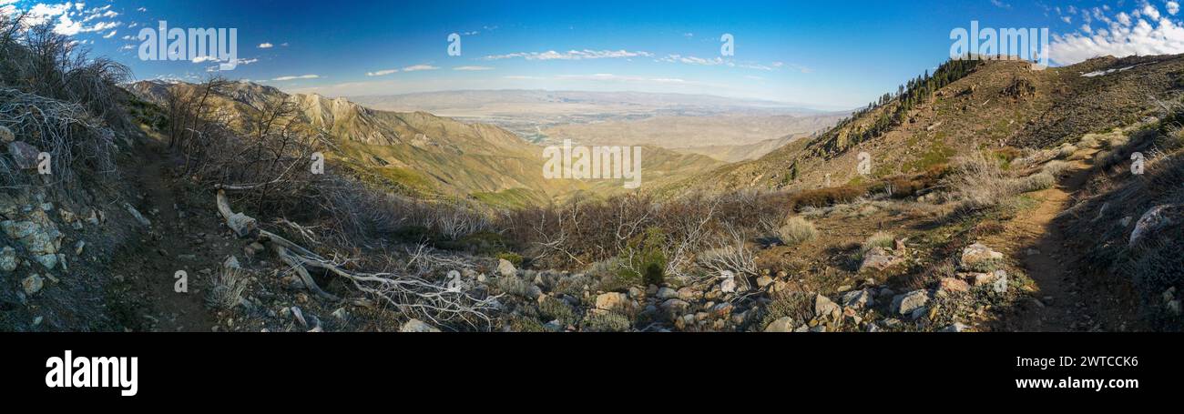Une vue panoramique sur une chaîne de montagnes avec un ciel bleu clair. Les montagnes sont couvertes d'arbres et le paysage est rocheux et aride Banque D'Images