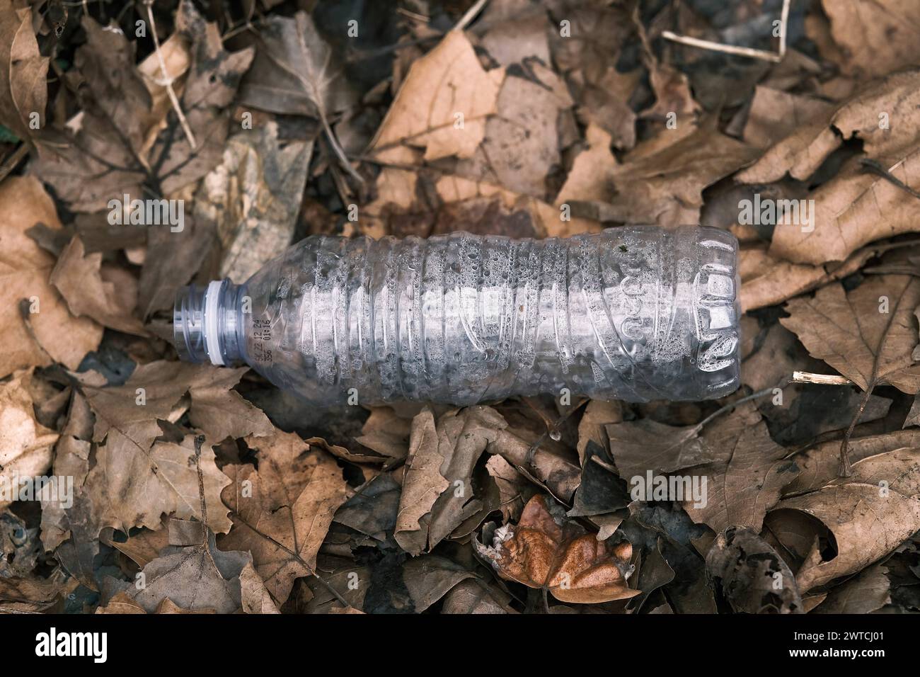 Düsseldorf 17.03.2024 Plastikflasche Pfandflasche Flaschenpfand Plastikpfand Mikroplastic PET-Flasche Wasserflasche Verrottung Umweltschutz altes Laub Laubbaum Natur Umweltverschmutzung Umweltzerstörung Düsseldorf Nordrhein-Westfalen Deutschland *** Düsseldorf 17 03 2024 bouteille de dépôt de bouteille en plastique dépôt de plastique bouteille en PET microplastique bouteille d'eau pourrissant protection de l'environnement vieilles feuilles feuillus nature pollution de l'arbre destruction de l'environnement Düsseldorf Rhénanie du Nord-Westphalie Allemagne Banque D'Images