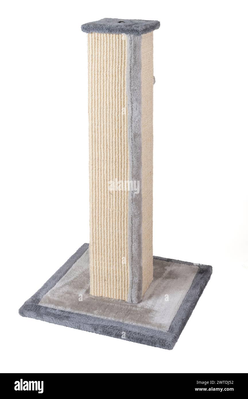 Ergot de grattage Banque D'Images