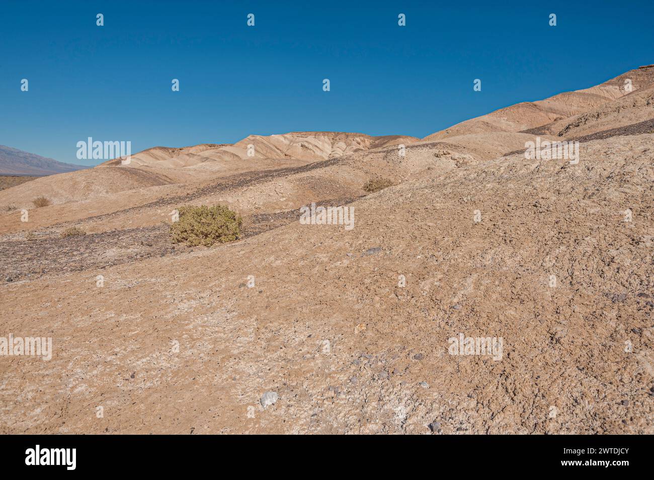 Death Valley Arroyo ou lit de rivière sec, États-Unis Banque D'Images