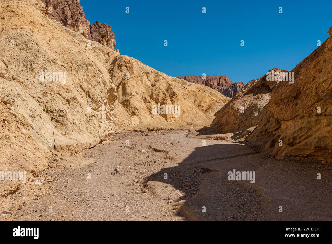 Death Valley Arroyo ou lit de rivière sec, États-Unis Banque D'Images