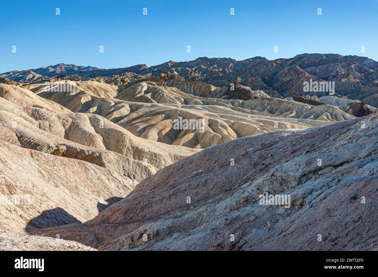 Badlands, parc national de la Vallée de la mort, Californie, États-Unis Banque D'Images