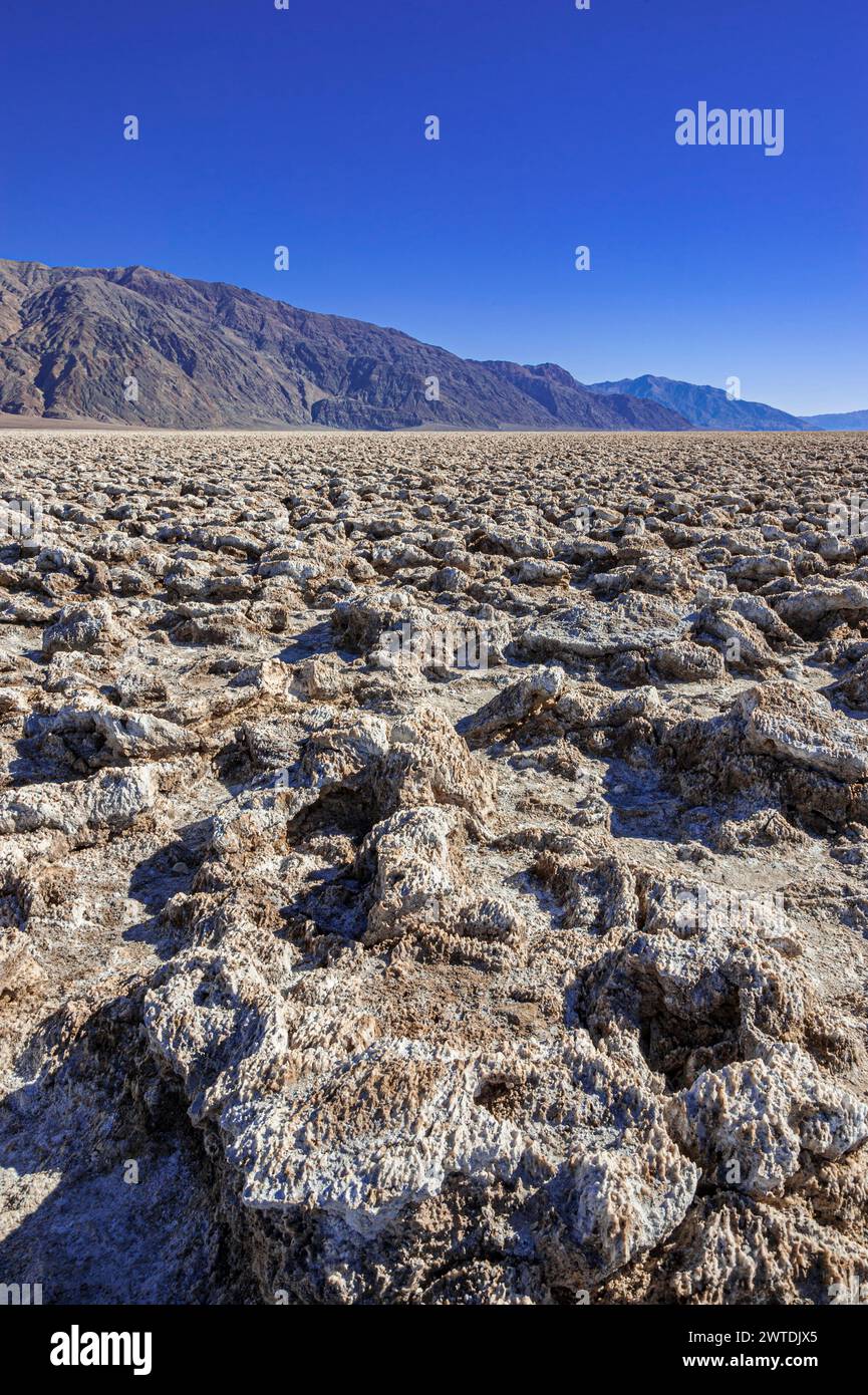 Devil's Golf course, Death Valley Californie, États-Unis Banque D'Images