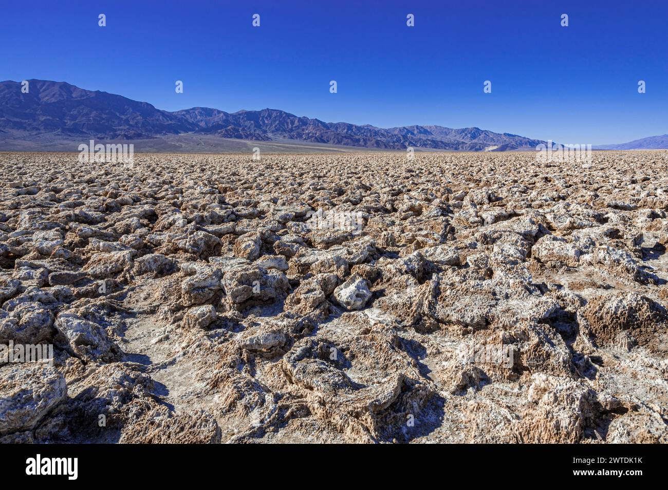 Devil's Golf course, Death Valley Californie, États-Unis Banque D'Images