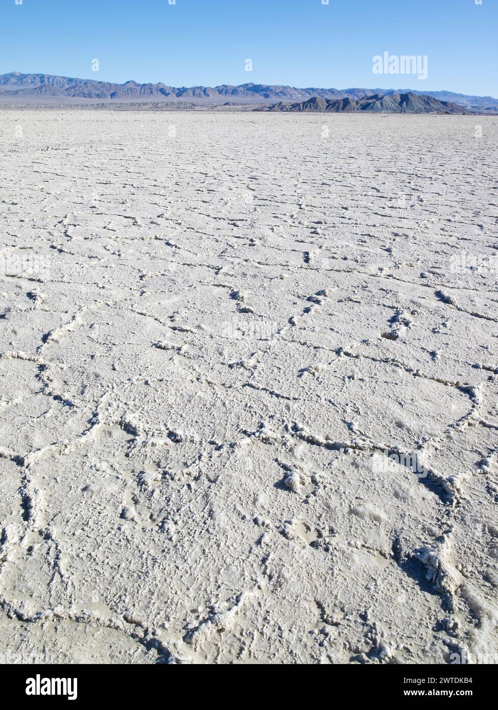 White Salt Flats, Death Valley California USA Banque D'Images