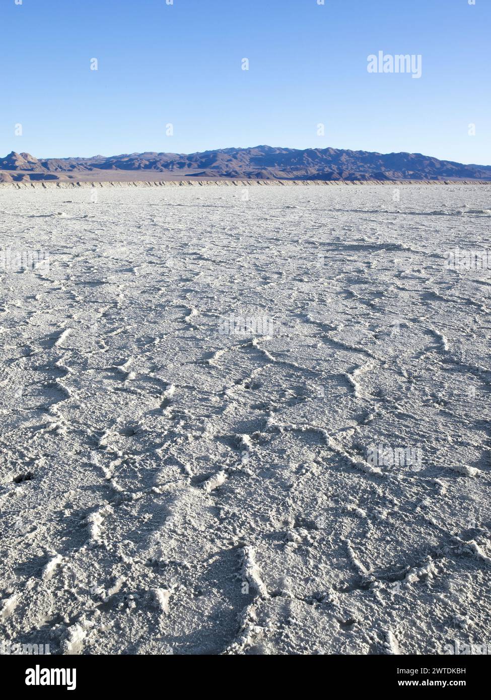 White Salt Flats, Death Valley California USA Banque D'Images