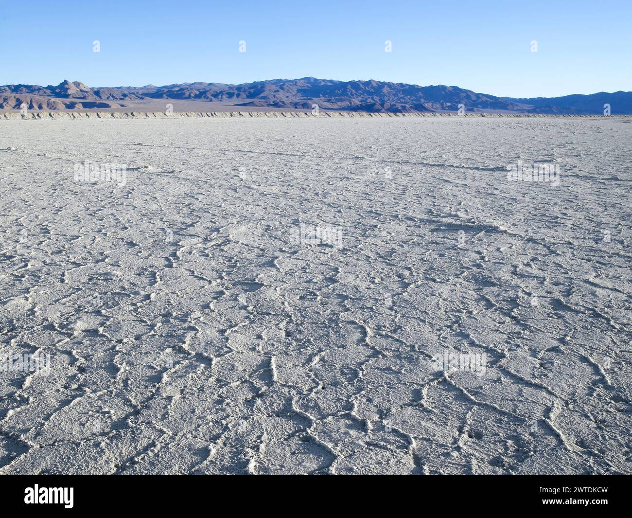 White Salt Flats, Death Valley California USA Banque D'Images