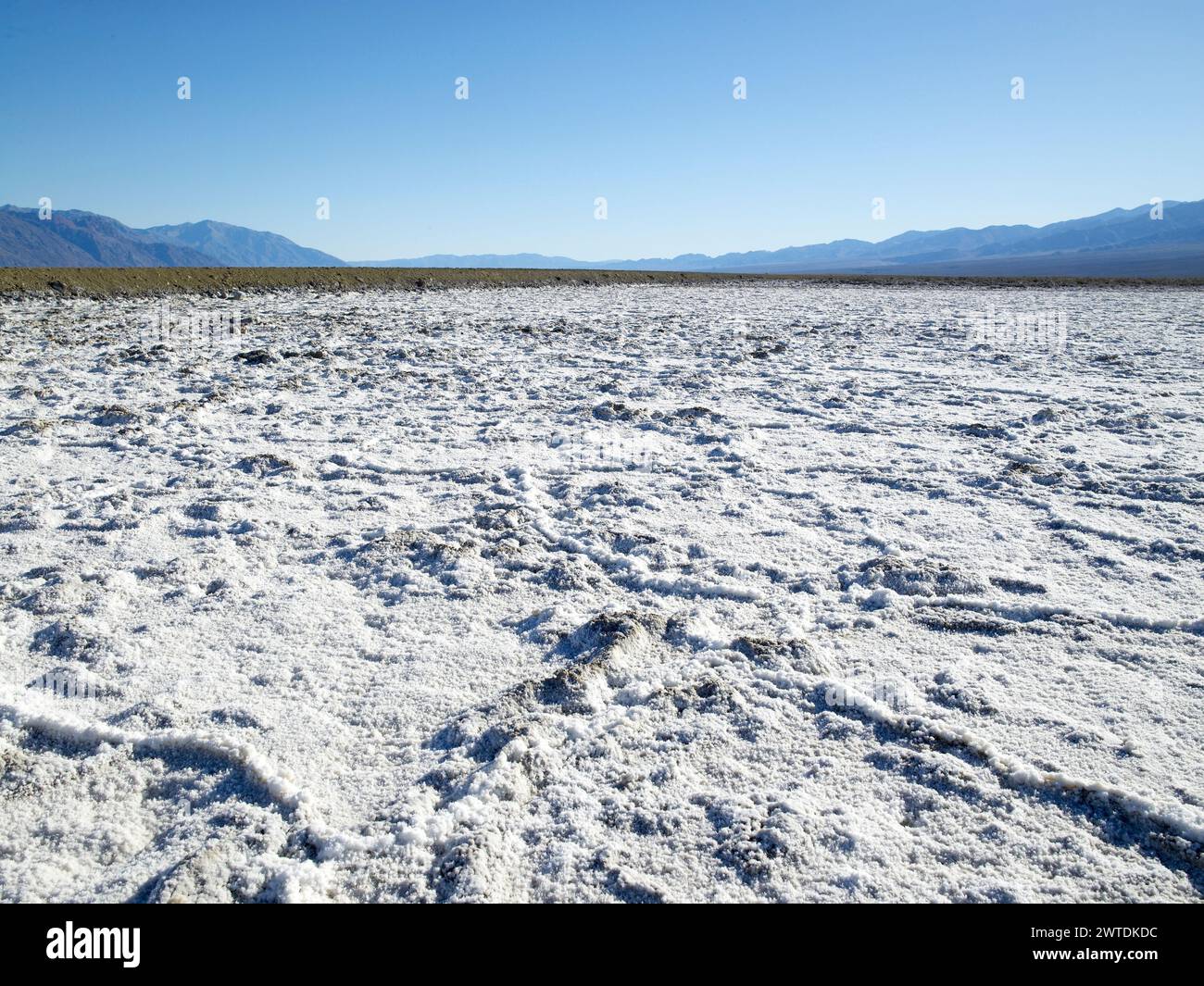 White Salt Flats, Death Valley California USA Banque D'Images