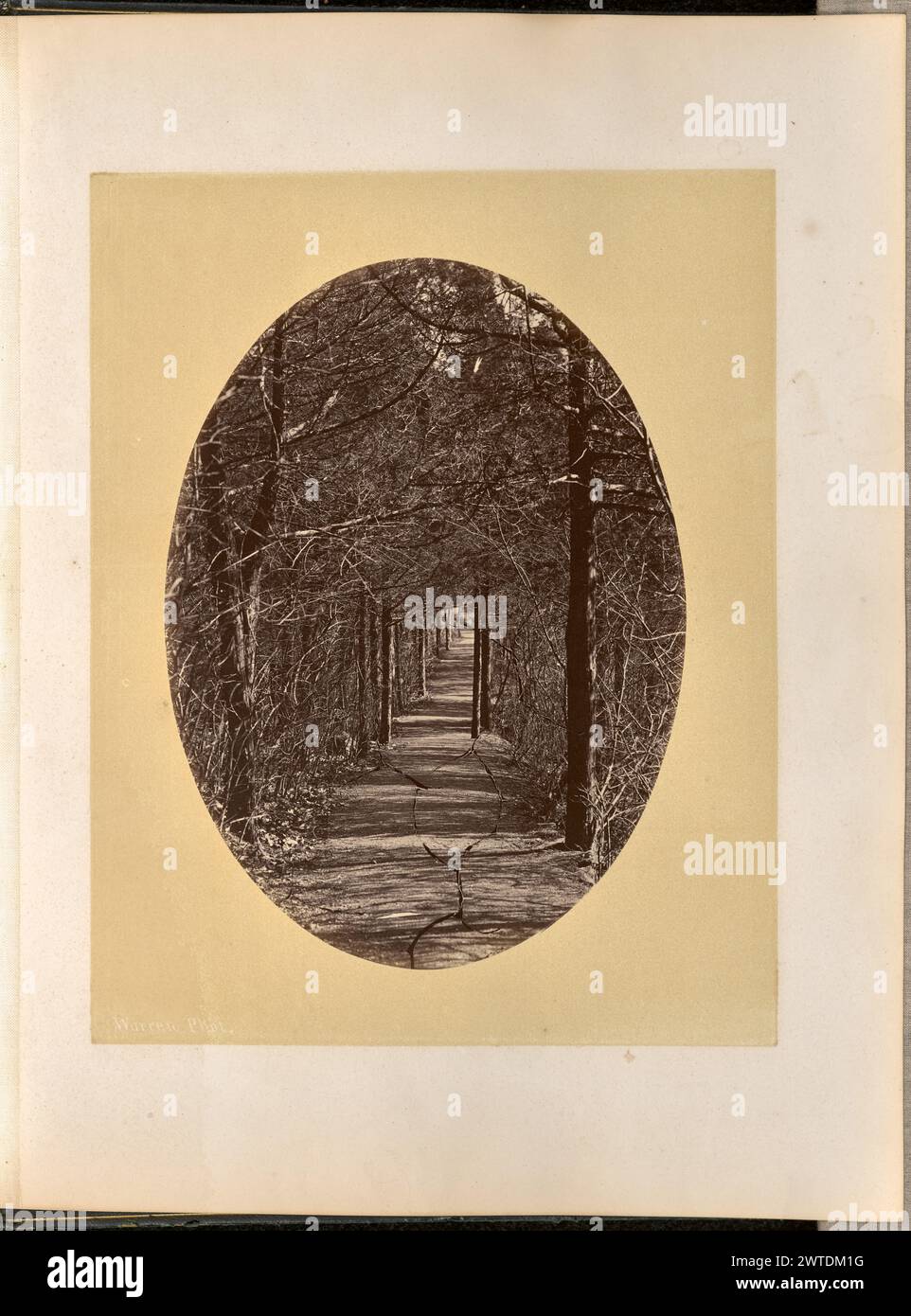 Marche de flirtation, West point. George Kendall Warren, photographe (américain, 1834 - 1884) 1868 vue d'un sentier qui s'étend au loin à travers une zone densément boisée. Des lignes irrégulières peuvent être observées sur la zone centrale inférieure de l'image, probablement à cause de fissures sur le négatif en verre. Banque D'Images