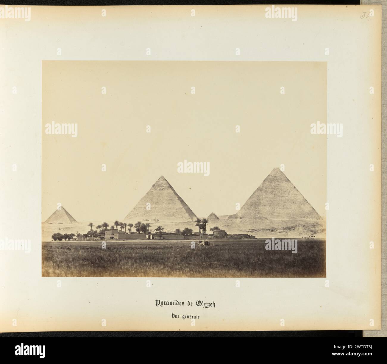 Pyramides de Gizeh. Wilhelm Hammerschmidt, photographe (allemand, né en Prusse, mort en 1869) années 1860 Une vue de paysage des pyramides de Gizeh. Il y a trois pyramides en vue et un bâtiment bas avec des palmiers au premier plan. (Recto) en haut à droite, au crayon : '34' ; (verso) en bas à gauche, au crayon : 'a 32 46 (jambon)'; Banque D'Images
