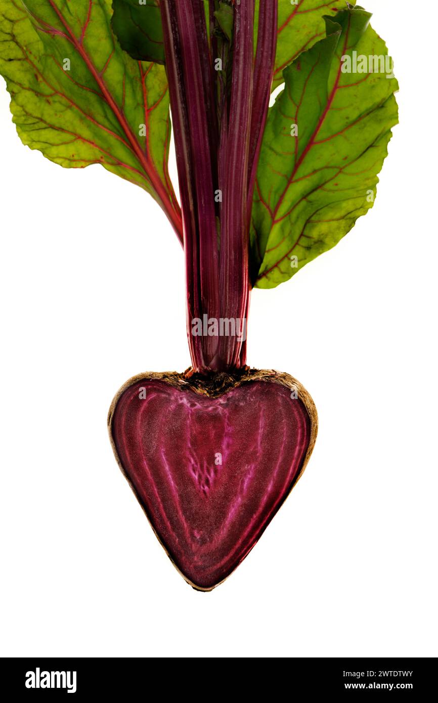 Photographie d'une betterave en forme de cœur avec des verts de betterave brillants sur blanc Banque D'Images