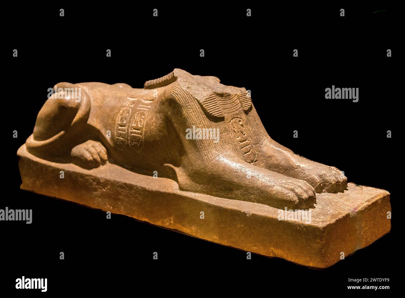 Egypte, Saqqara, sphinx de Ramsès II, trouvé dans le Sérapéum. Banque D'Images