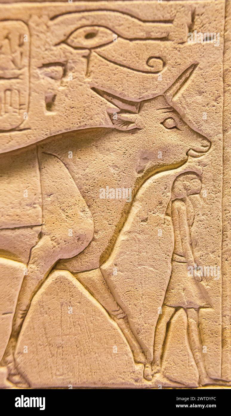 Egypte, Saqqara, Sérapéum, détail d'une stèle de taureau Apis : taureau protégeant le roi. Banque D'Images