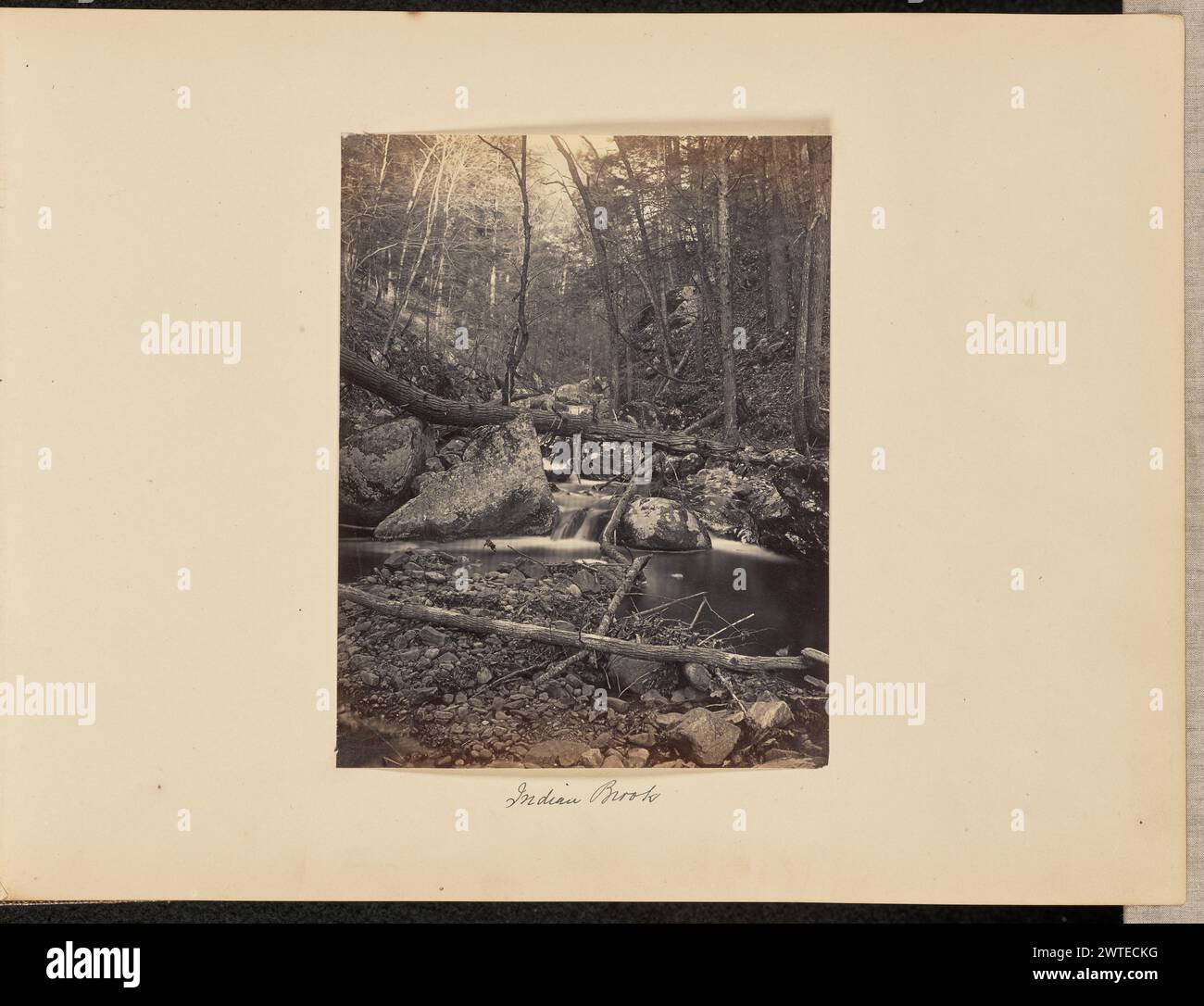 Indian Brook. Probablement Charles de Rham, photographe (américain, 1822 - 1909) environ 1860–1880 Une rivière traversant une forêt dense d'arbres nus. Quelques troncs d'arbres tombés reposent sur le sol et de l'autre côté de la rivière. (Recto, monture) en bas au centre, encre noire : 'Indian Brook' ; (verso, monture) en bas à gauche, crayon : '24.5'; Banque D'Images