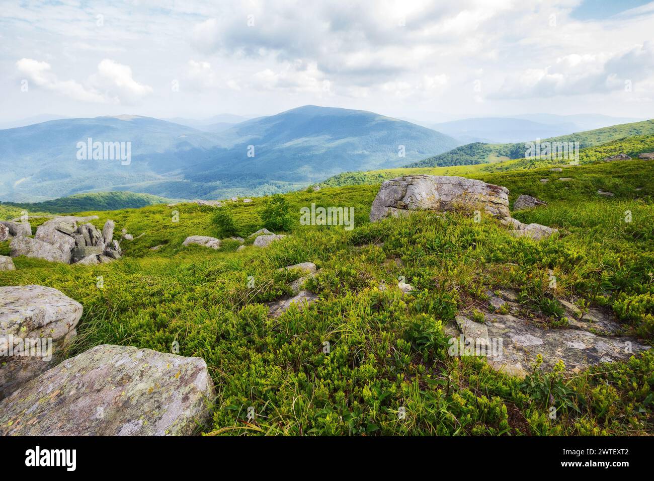 paysage montagneux avec des rochers sur les collines herbeuses. paysage naturel des carpates, mnt. runa a également appelé smooth mountain, ukraine Banque D'Images