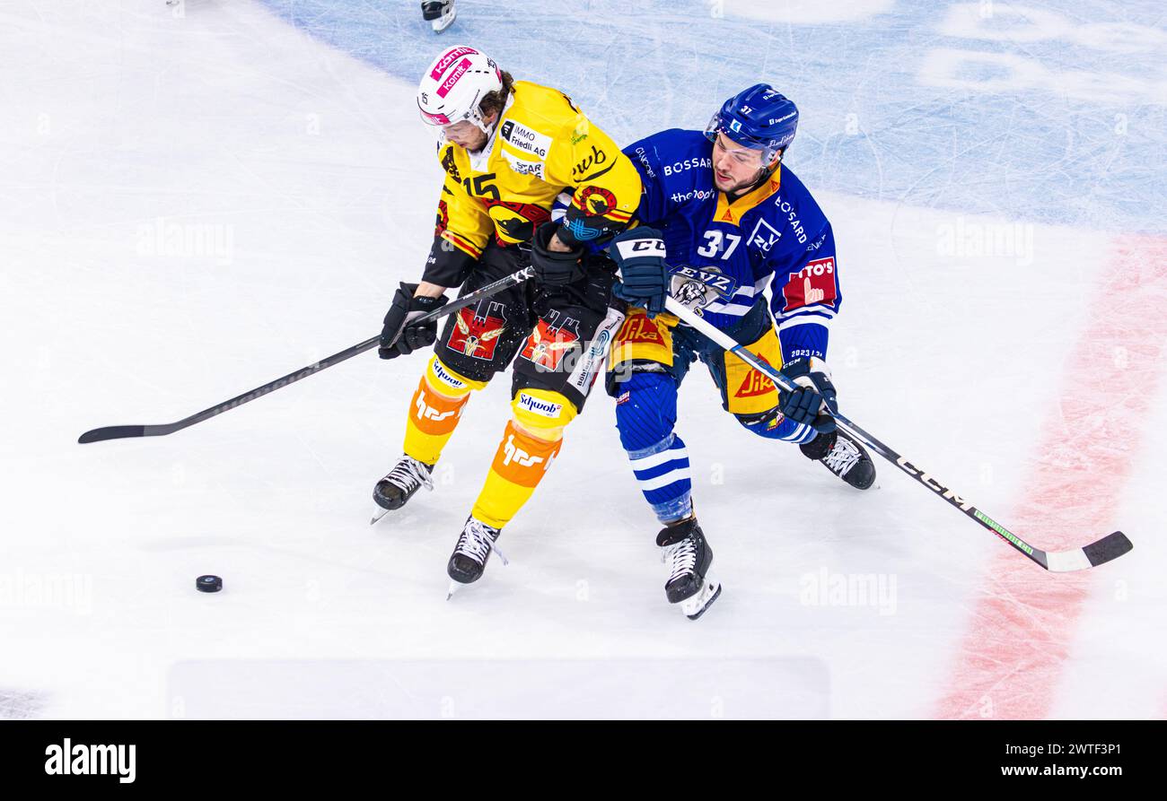 Zug, Suisse, 17 mars 2024 : duel entre le #15 Yanick Sabaltnig (SC Berne) et le #37 Elia Riva (EV Zug). (Photo de Andreas Haas/dieBildmanufaktur) crédit : dieBildmanufaktur/Alamy Live News Banque D'Images