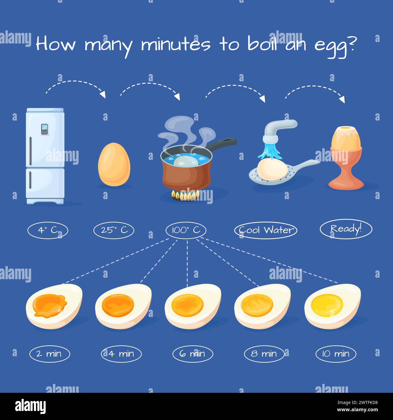 Infographie sur les œufs bouillants. Comment cuire l'instruction d'oeuf bouilli, présentation de recette de cuisson temps de bouillir l'eau dans la casserole pour préparer le jaune cuit doux ou dur, info illustration vectorielle soignée Illustration de Vecteur