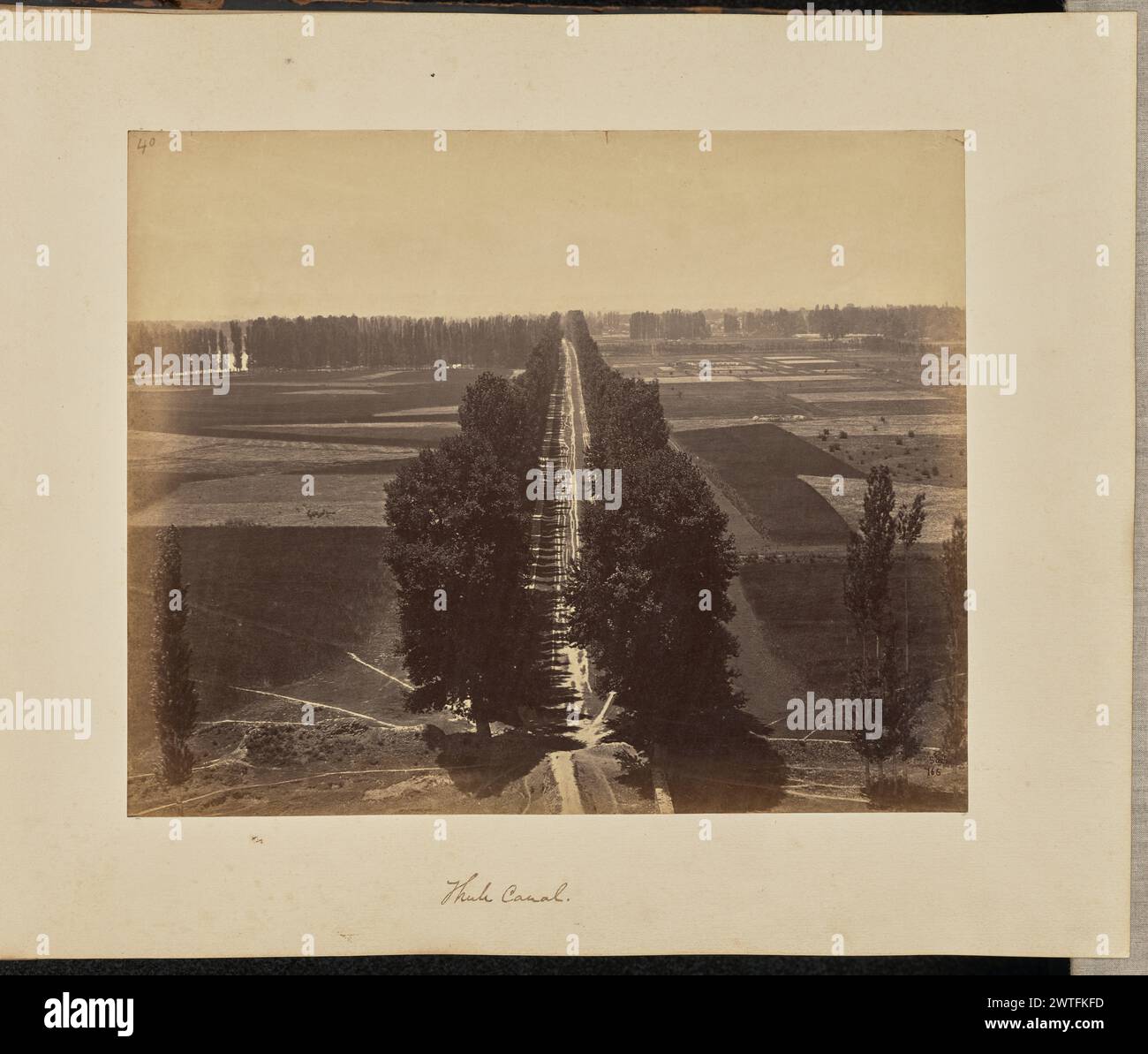 Canal de Thulé. John Edward Saché, photographe (prussien ou britannique, né en Prusse, 1824 - 1882) 1873 vue surélevée d'une avenue bordée d'arbres, vue peut-être depuis la colline de Rustum Gari. L'avenue traverse un champ expansif. (Recto, impression) en haut à gauche, à l'encre brune : '40' ; en bas à droite, inscrit en négatif : '766' ; (recto, monture) en bas au centre, à l'encre brune : 'canal de Thulé. [Inscription inexacte]' ; (verso, monture) en bas à gauche, au crayon : 'A48.81'; Banque D'Images