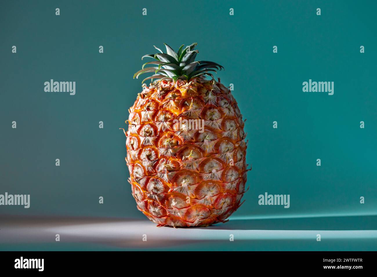 Ananas sur fond bleu. Le concept de saine alimentation. Açores ananas (ananas) fruit concept. Banque D'Images