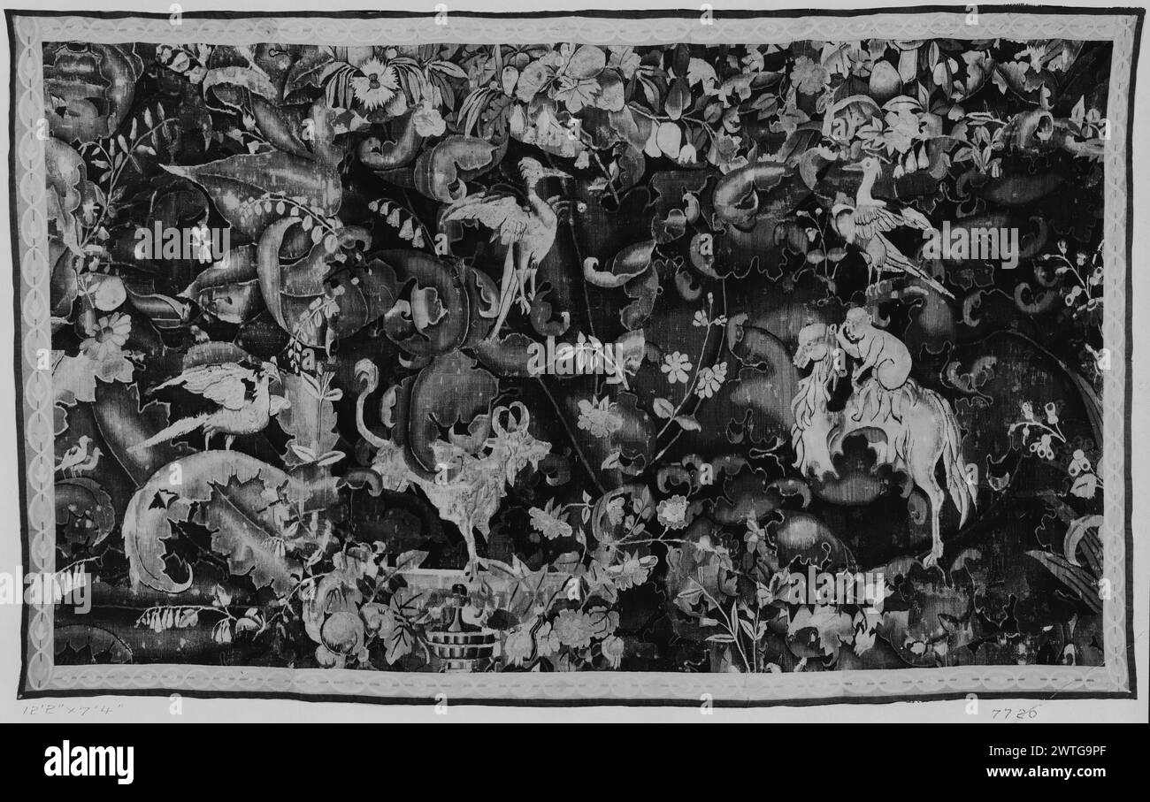 Verdure à grandes feuilles avec chameau et bélier. Inconnu c. 1550-1600 dimensions de tapisserie : H 7'4' x l 12'2' tapisserie matériaux/techniques : inconnu culture : Centre de tissage flamand : inconnu historique de propriété : Français & Co. acheté de l'American Art Association (vente Tolentino), facturé le 26/1924 ; vendu à MRS J. D. Chapman le 5/28/1925. Singe chevauchant chameau, bélier sur piédestal (?), oiseaux et papillons habitent la verdure composée de délicates plantes à fleurs au milieu de grandes feuilles défilantes ressemblant à des acanthus (BRD) étroite bande guillochée fragment de tapisserie ; bordure présente fragmentée pour s'adapter. Feuille de stock française et coréenne en arche Banque D'Images