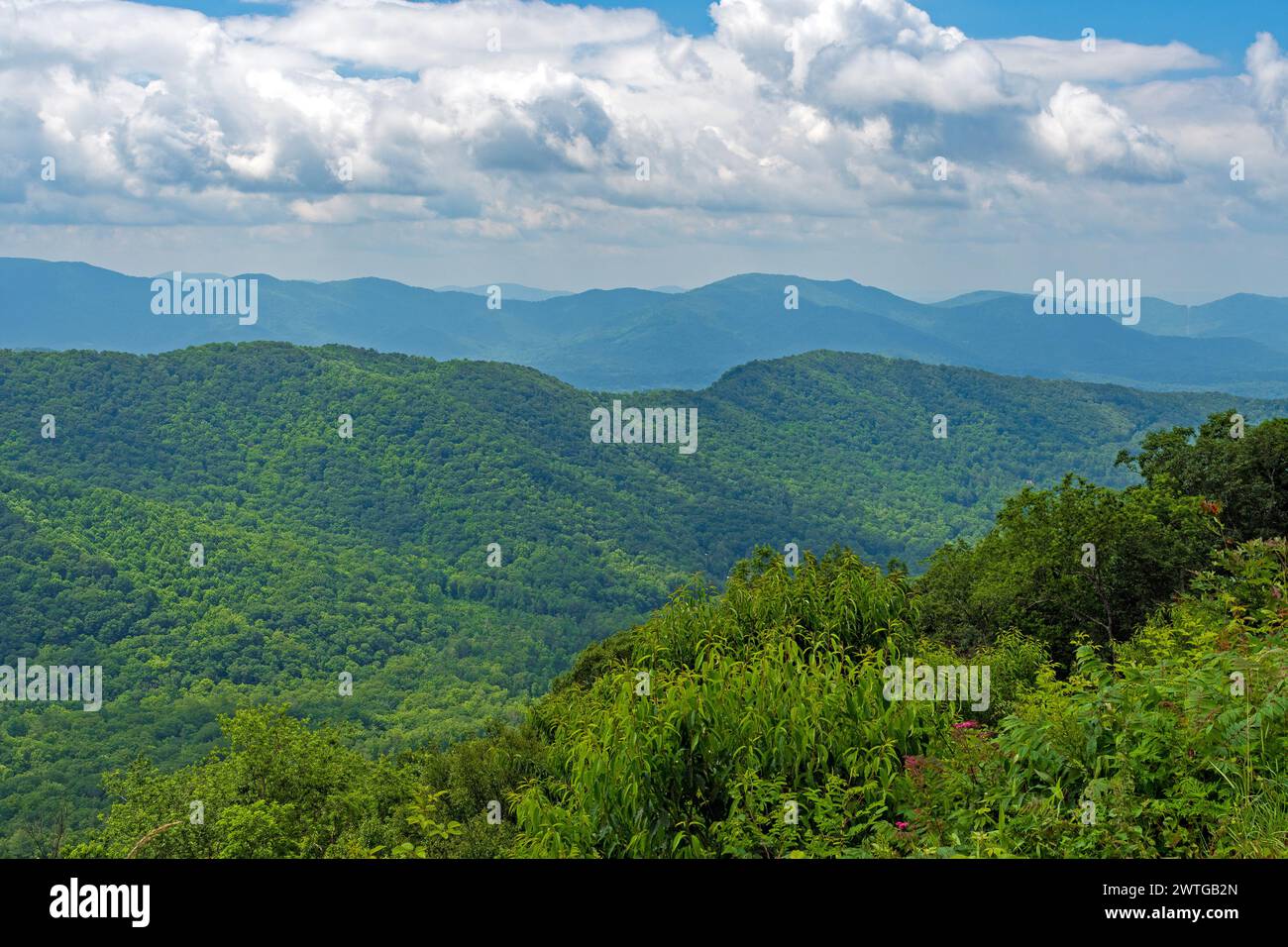 Green Hills lors d'une journée d'été Sunny Mountain sur la Blue Ridge Parkway en Caroline du Nord Banque D'Images