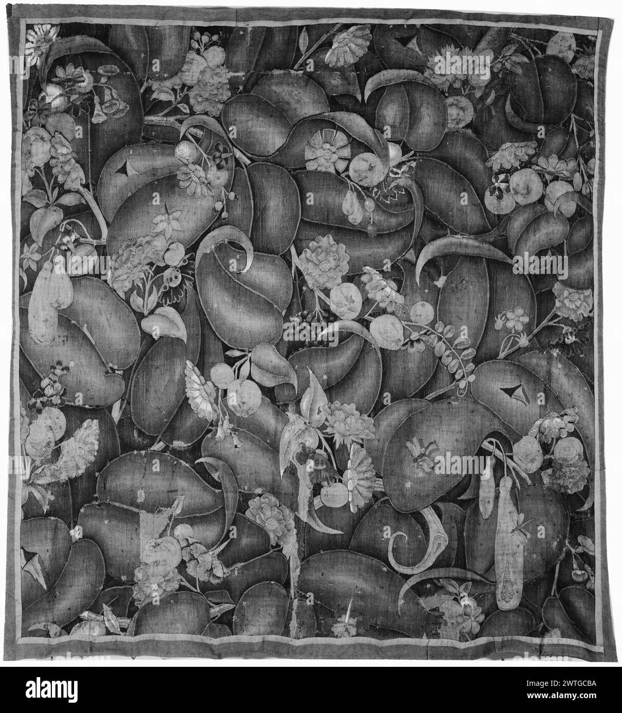 Verdure à grandes feuilles avec des fruits. Inconnu c. 1550-1600 dimensions de tapisserie : H 8'2' x l 7'7' matériaux/techniques de tapisserie : inconnu culture : Centre de tissage flamand : inconnu historique de propriété : Français et Co. acheté de la première église presbytérienne, reçu le 4/3/1963 [dans le coin SS : 'M. Samuels'] ; vendu à Mr. H. Kalaidjian le 7/19/1963. Branches délicates avec des fleurs et des fruits entrelacés avec de grandes feuilles de curling fragment de tapisserie ; bordures manquantes. French & Co. feuille de stock dans les archives, F-609-x Banque D'Images