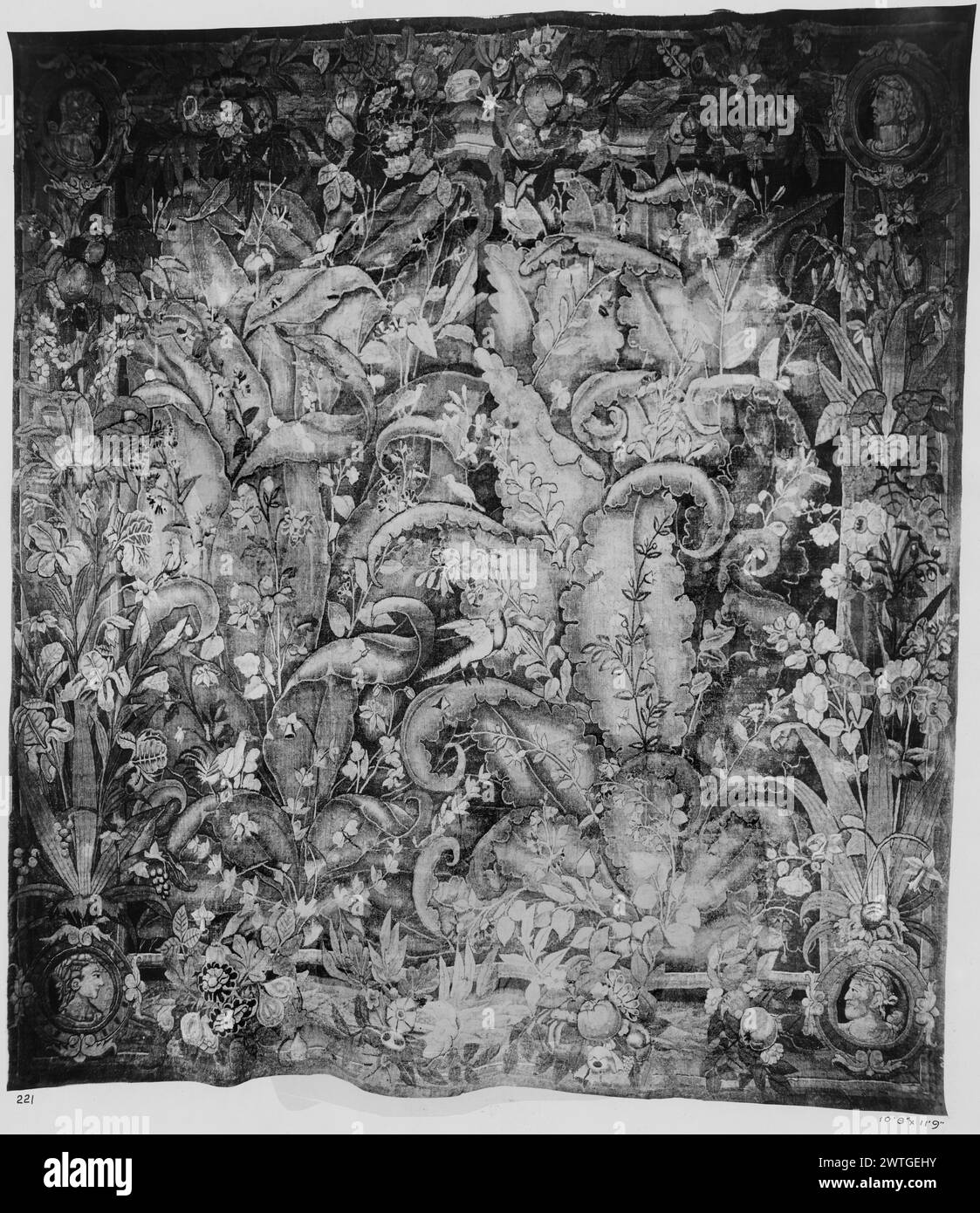 Verdure à grandes feuilles avec de petits oiseaux ; camées bustes dans les bordures. Inconnu c. 1550-1600 dimensions de tapisserie : H 11'9' x l 10'8' matériaux / techniques de tapisserie : inconnu culture : Centre de tissage flamand : inconnu histoire de propriété : Français et Co. Papillons et petits oiseaux habitent la verdure composée de plantes à fleurs tortueuses au milieu de feuilles géantes et défilantes ressemblant à des acanthus (BRD) empiétant sur le champ central ; buste-camée dans les coins ; (BRD G & R) iris et plantes à fleurs ; (UPR & LWR BRD) guirlande de feuillage, fruits et fleurs bordures manquantes. Pas de feuille de stock français et anglais dans les archives, pas de numéro de stock Banque D'Images