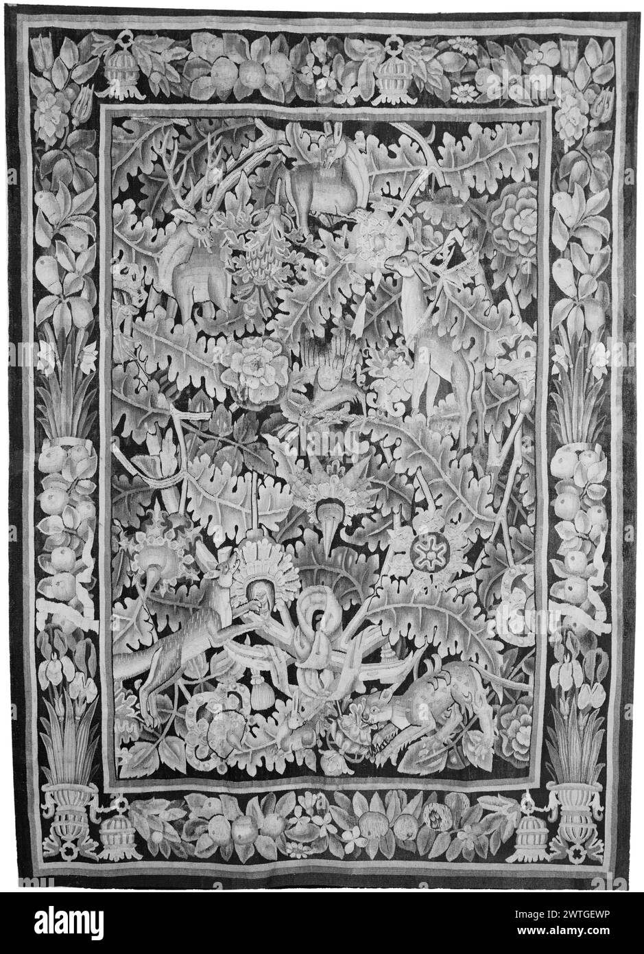 Verdure à grandes feuilles avec belette. Inconnu c. 1535-1565 dimensions de tapisserie : H 8'1'' x l 6'6' tapisserie matériaux / techniques : inconnu culture : Centre de tissage flamand : Tournai historique de propriété : Français & Co. acheté de MRS Edgar Bernheimer, reçu le 7/14/1967. Weasel (?) Approche du lapin ; le renard saute vers le haut en direction de l'oiseau, 2 cerfs et Doe (G & R BRD) guirlandes avec des feuilles épaisses et des fruits émergent de pots décoratifs ; (UPR & LWR BRD) segments de feuillage et guirlandes de fruits avec de grandes bornes à pompon Français et Co. feuille de stock dans les archives, M-13-x Banque D'Images