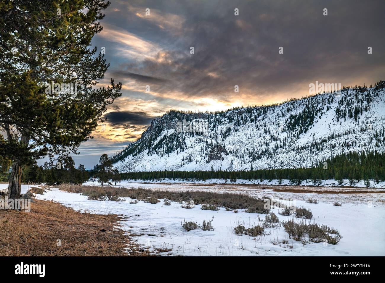 MADISON RIVER MADISON VALLEY PARC NATIONAL DE YELLOWSTONE WYOMING ÉTATS-UNIS Banque D'Images