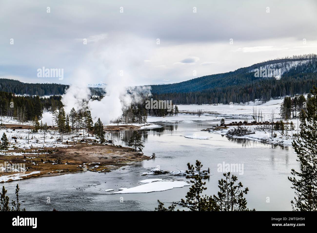 RIVIÈRE YELLOWSTONE HAYDEN VALLEY PARC NATIONAL DE YELLOWSTONE WYOMING ÉTATS-UNIS Banque D'Images