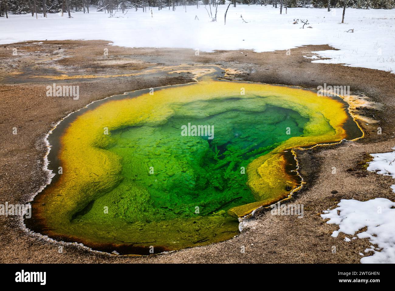 BISCUIT GEYSER BASIN UPPER GEYSER BASIN YELLOWSTONE NATIONAL PARK WYOMING USA Banque D'Images