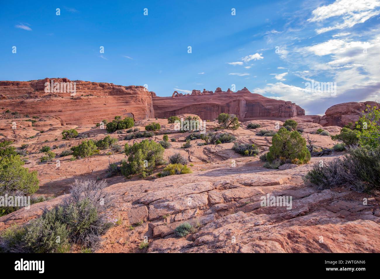 Delicate Arch dans le parc national des Arches, Utah, États-Unis Banque D'Images