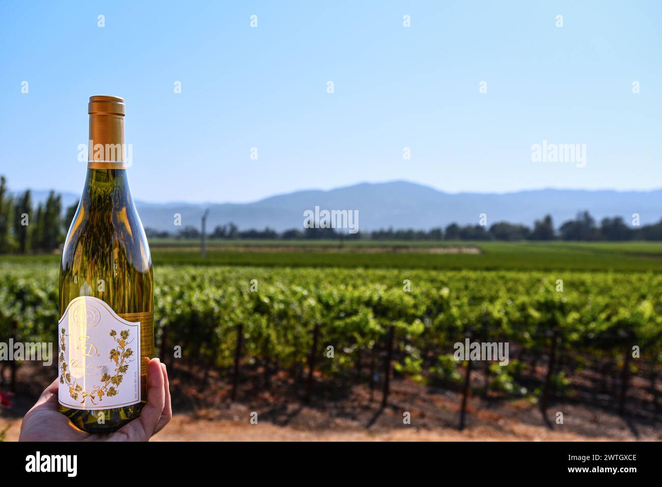 Une bouteille de vin près des vignobles de Napa Valley, Californie Banque D'Images