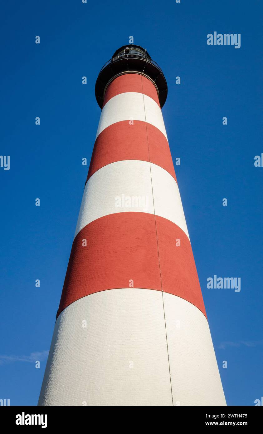 Assateague Light, situé dans la réserve naturelle nationale de Chincoteague, Virginie, États-Unis Banque D'Images