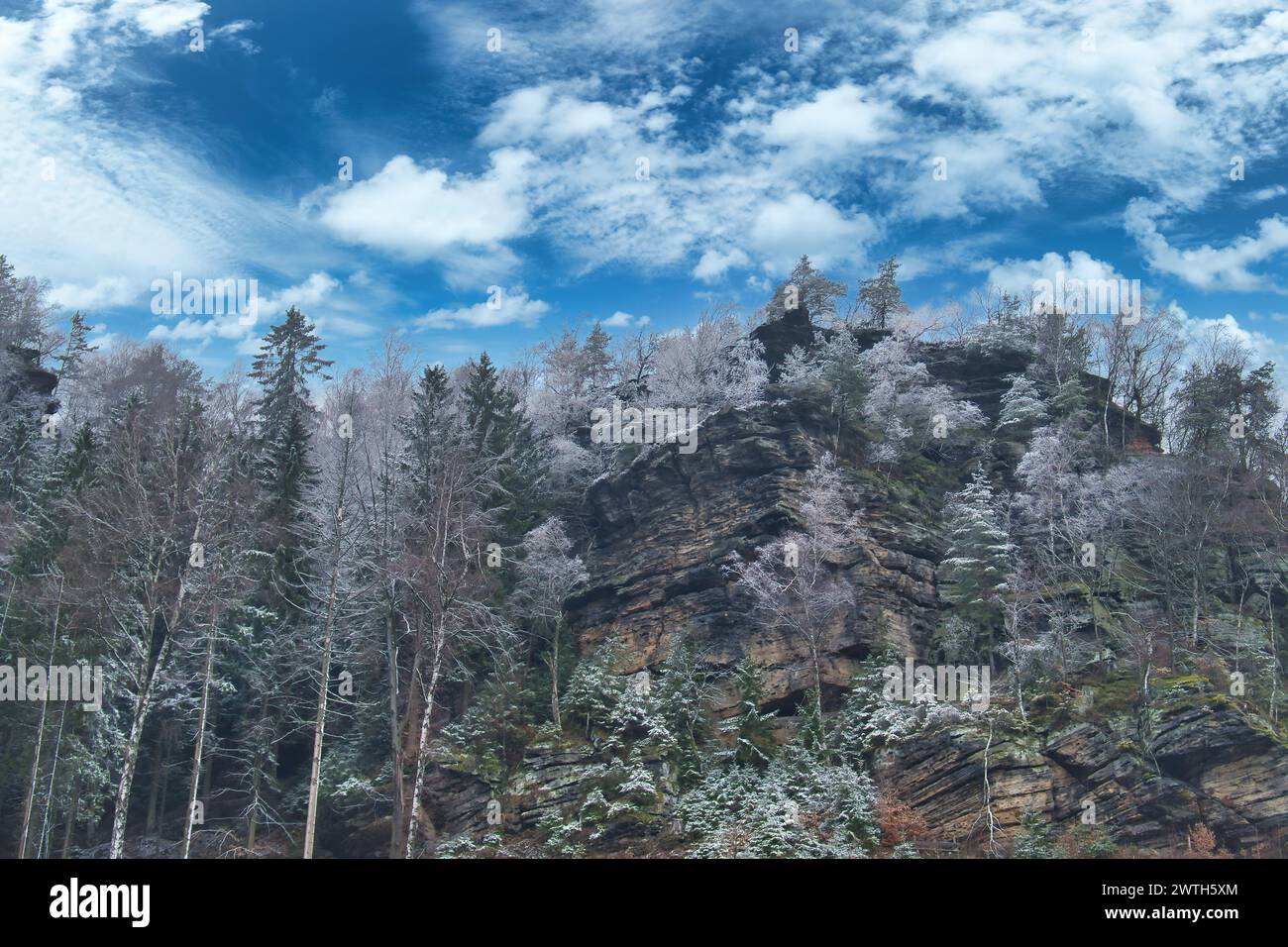 Vue sur le grand Zschirnstein avec des arbres enneigés et lever de soleil dans le brouillard, sur le sommet, lors d'une randonnée. Depuis le parc naturel de l'Elbe Sandstone Mo Banque D'Images