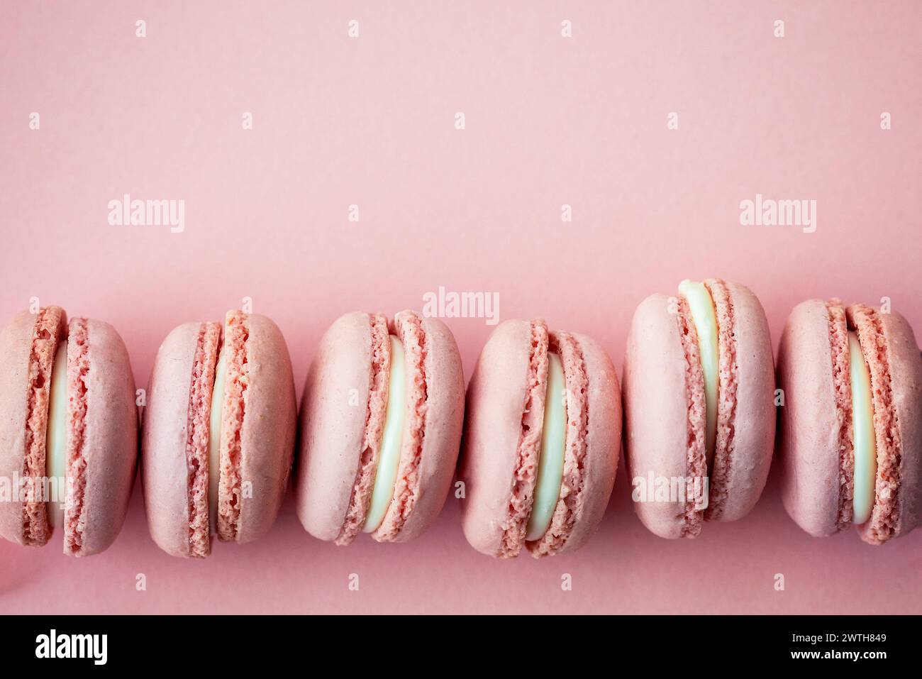 Une rangée soignée de macarons rose pastel sur un fond de blush Banque D'Images