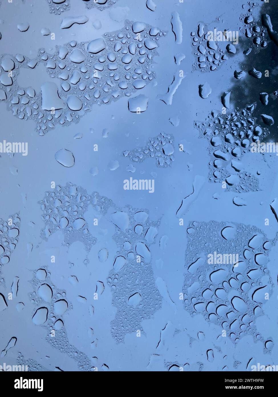 Gros plan de gouttelettes d'eau coulant le long d'une vitre Banque D'Images