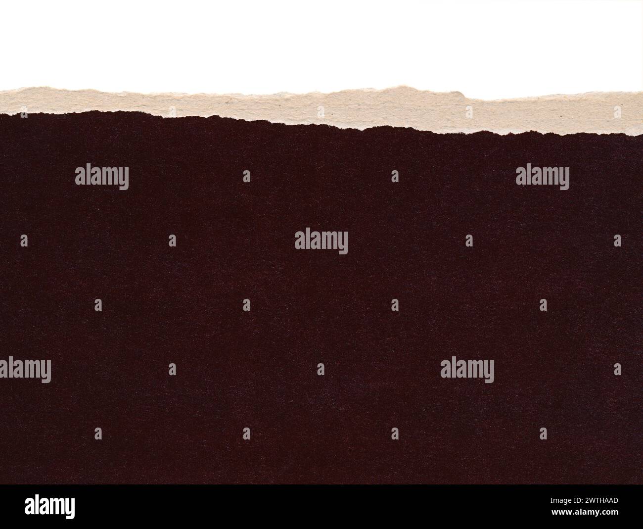 Papier sombre déchiré. Bord déchiré de carton, bord, cadre. Fond brun vide en carton déchiré, texture granuleuse réaliste. Elément de conception irrégulière isolé Banque D'Images