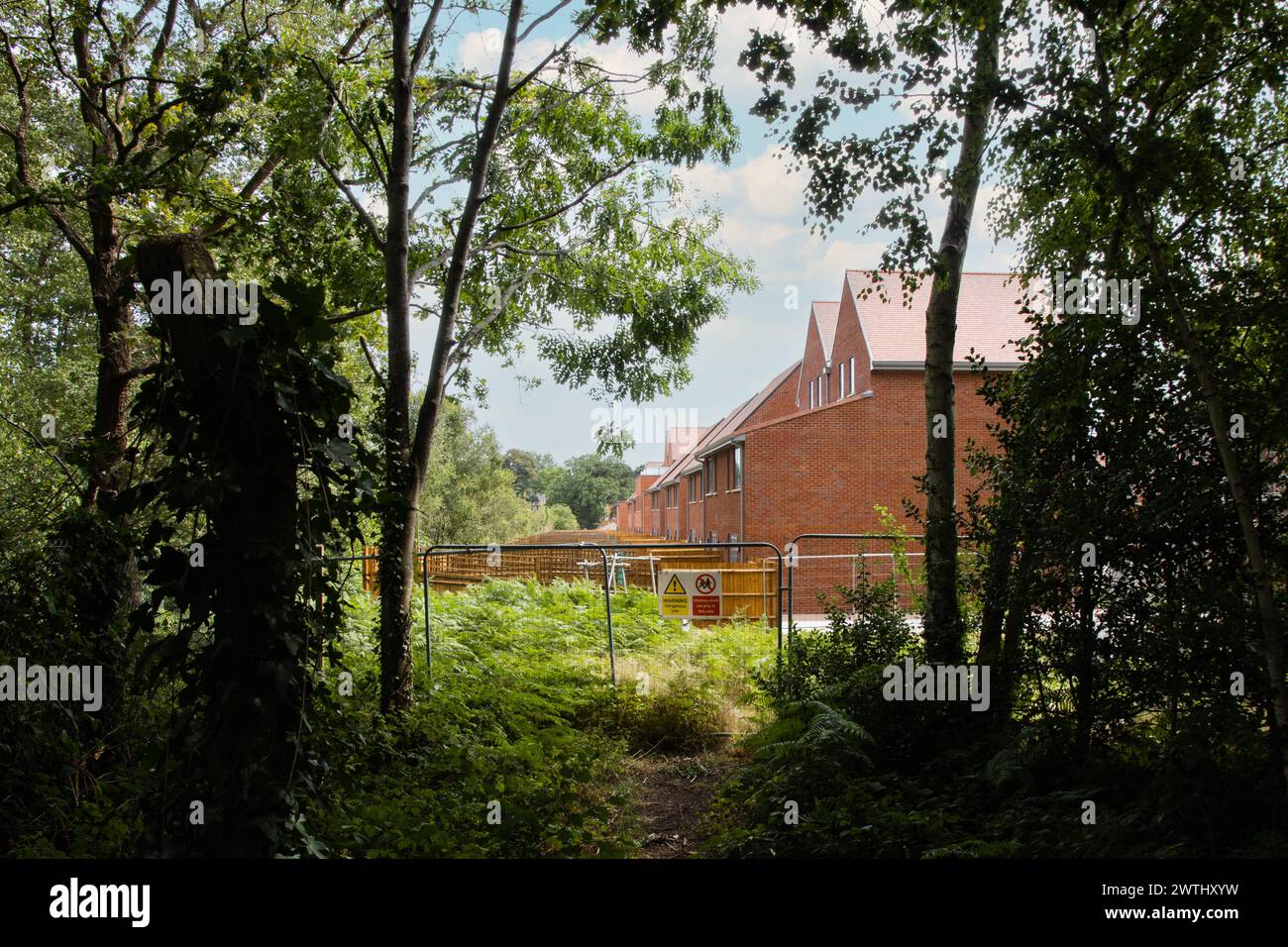 Nouvelles maisons de construction empiétant sur les bois ou les espaces verts au Royaume-Uni Banque D'Images