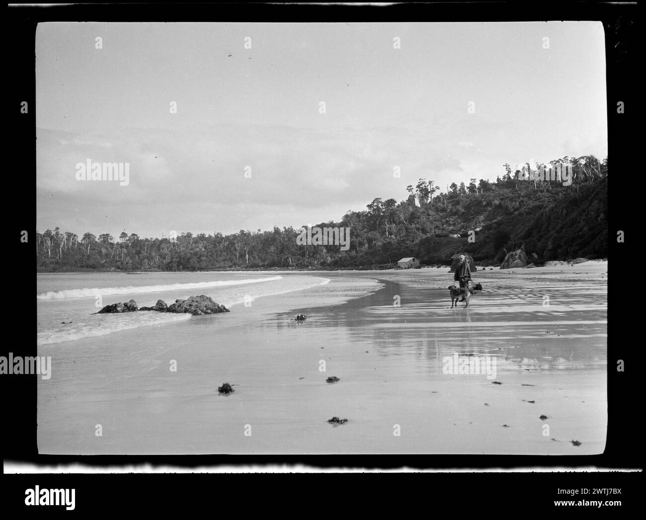Négatifs argentés en gélatine de plage de sable, négatifs en noir et blanc Banque D'Images