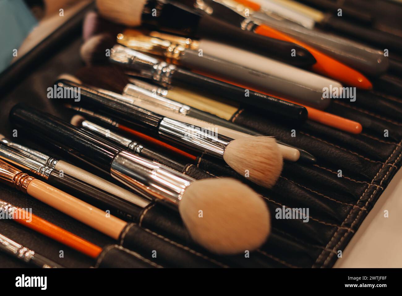 Pinceaux de maquillage assortis dans un étui en cuir noir, accessoires pour maquilleurs Banque D'Images