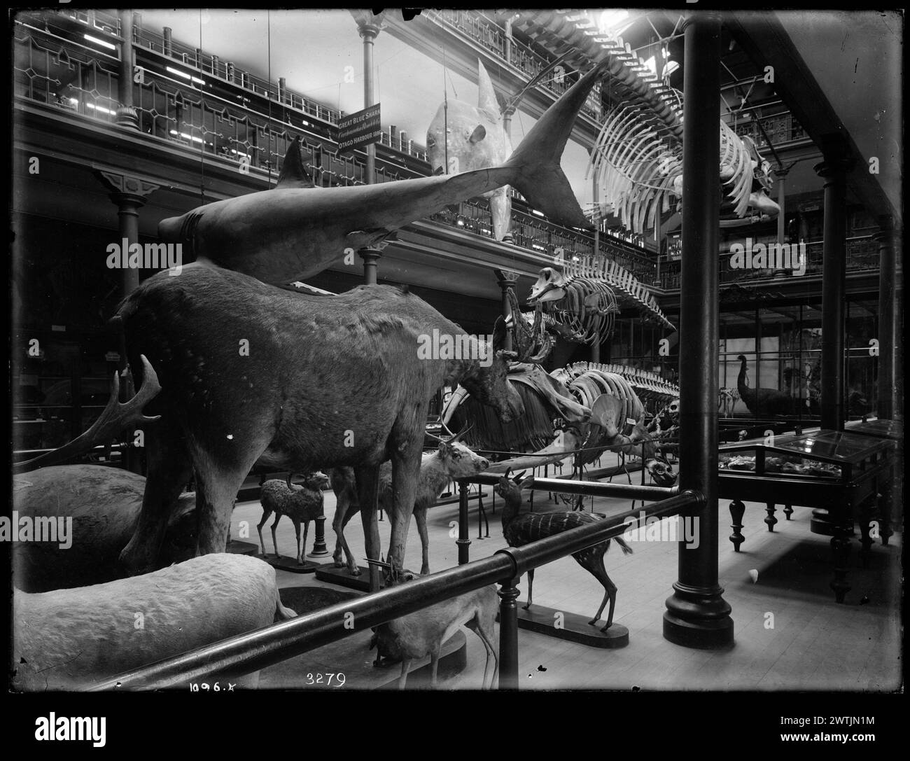 Intérieur du Musée Otago Banque D'Images