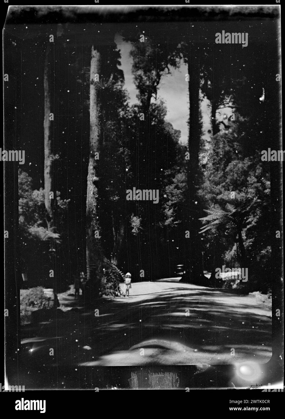 Négatifs noir et blanc de la piste de Hongi, négatifs argentés gélatineux Banque D'Images