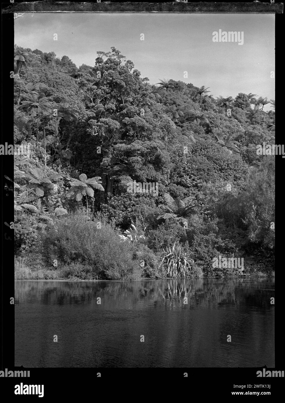 Taranaki scène campagne négatifs argentés gélatine, négatifs noir et blanc Banque D'Images
