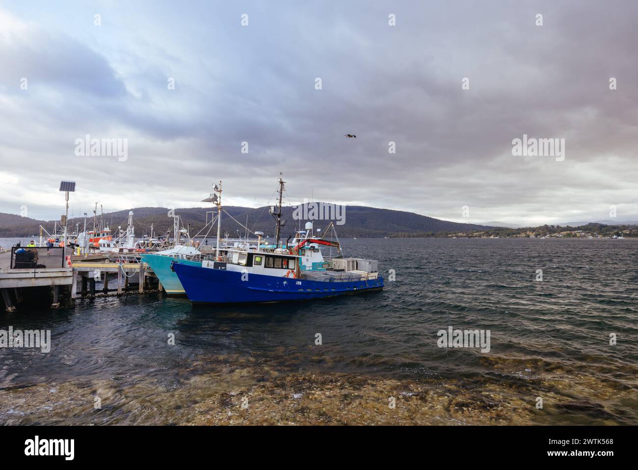 Douvres dans Huon Valley Tasmanie Australie Banque D'Images