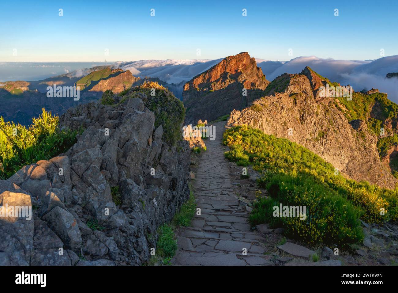 Paysage matinal lumineux avec sentier de montagne menant vers Pico Ruivo sur l'île de Madère, Portugal Banque D'Images