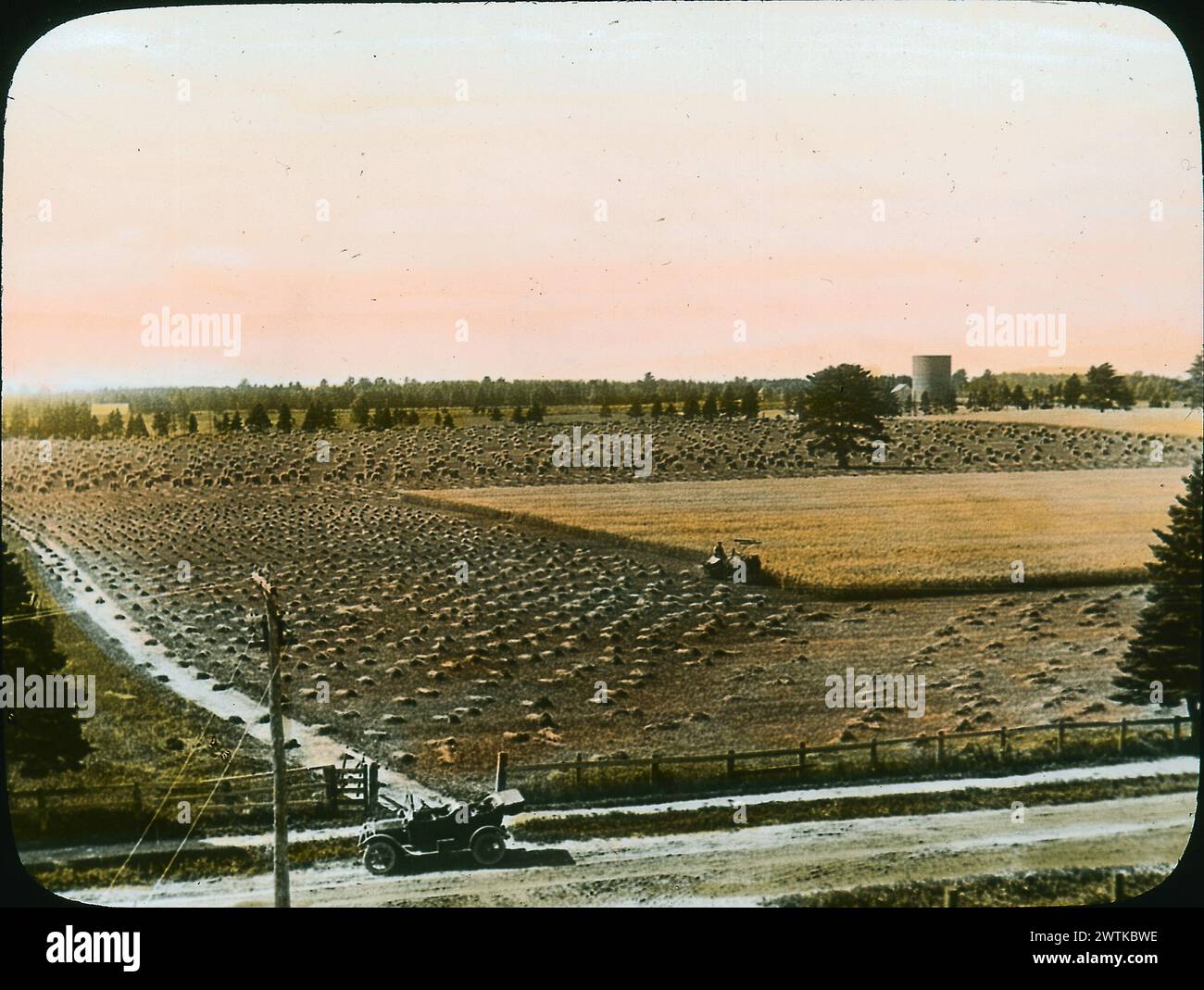 Transparence - coupe de l'avoine près de Chatham, NB, vers 1922 Banque D'Images