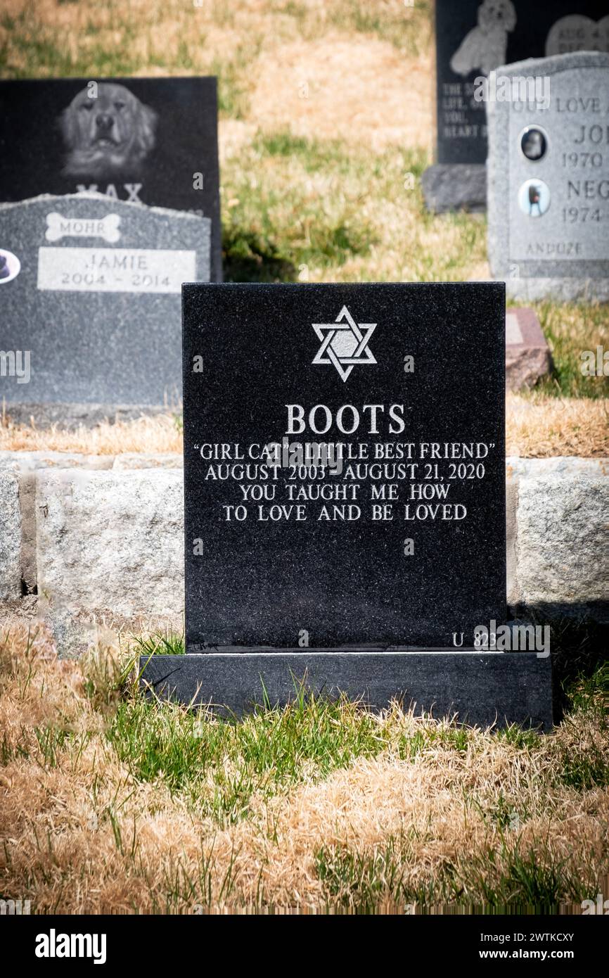 Une pierre tombale pour bottes le chat avec une étoile de David. Dans le cimetière canin de Hartsdale à Westchester, New York. Banque D'Images