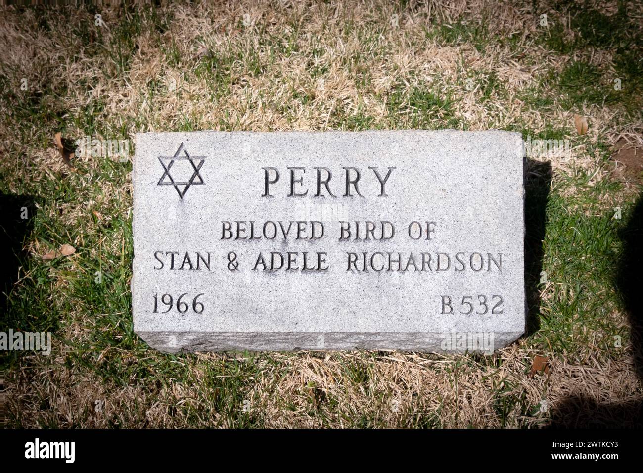 Une vieille pierre tombale pour Perry, un oiseau bien-aimé de la maison Richardson au cimetière pour animaux de compagnie de Hartsdale, Westchester, New York. Banque D'Images