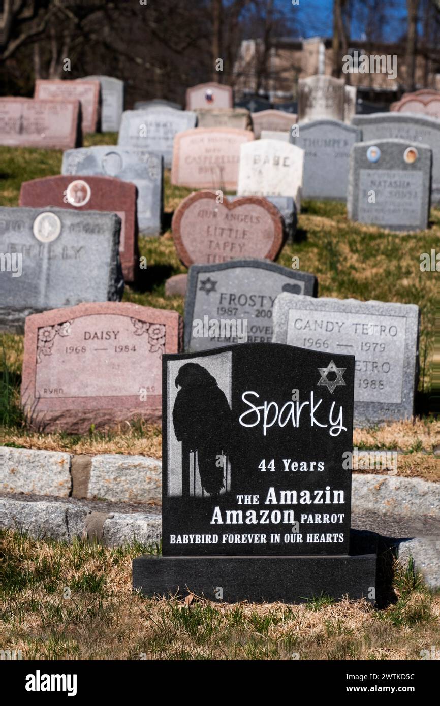 Une pierre tombale pour Sparky, l'étonnant perroquet amazonien. Au cimetière pour animaux de compagnie de Hartsdale, Westchester, New York. Banque D'Images